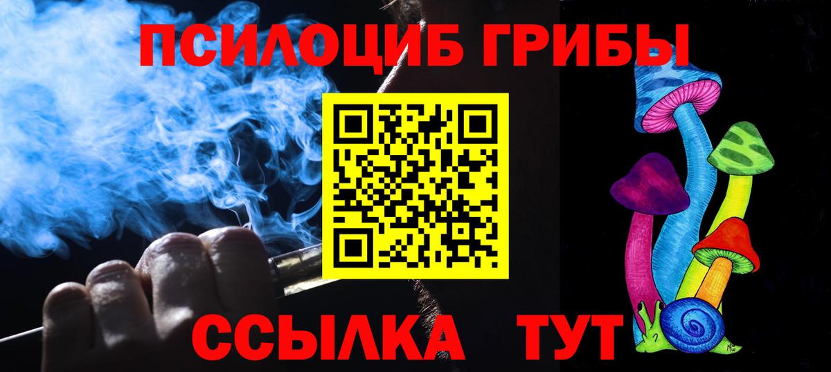 Галлюциногенные грибы Psilocybine cubensis Зеленодольск