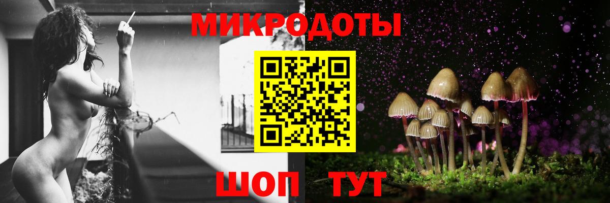 Псилоцибиновые грибы Psilocybe  Вход с VPN  Зеленодольск 